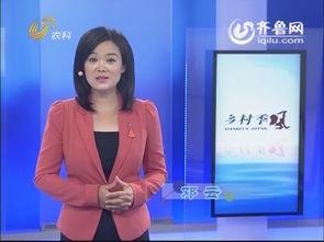 陈老师养猪在线视频,揭秘养猪业的秘密与技巧