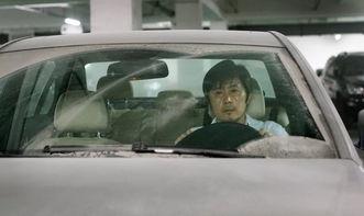 电影秋田在线视频,穿越时空的秋田犬传奇