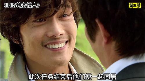 电影秋田在线视频,穿越时空的秋田犬传奇