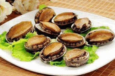 鲍鱼在线视频tv,探秘海洋珍馐的视觉盛宴