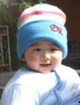 susu800在线视频,揭秘科技与生活的完美融合