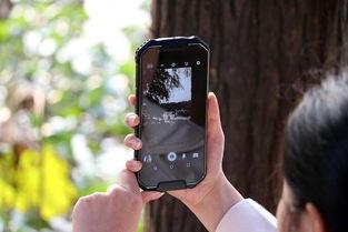 野外 手机在线视频,手机在线视频带你领略自然之美  第1张