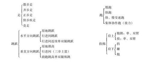 三三理论在线视频,揭秘在线视频内容创作与传播的三大关键要素  第3张