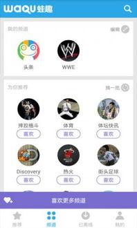 手机中文摔跤在线视频,摔跤高手对决，精彩瞬间不容错过  第3张