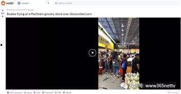 综合华人在线视频,多元文化盛宴，共赏精彩瞬间  第2张